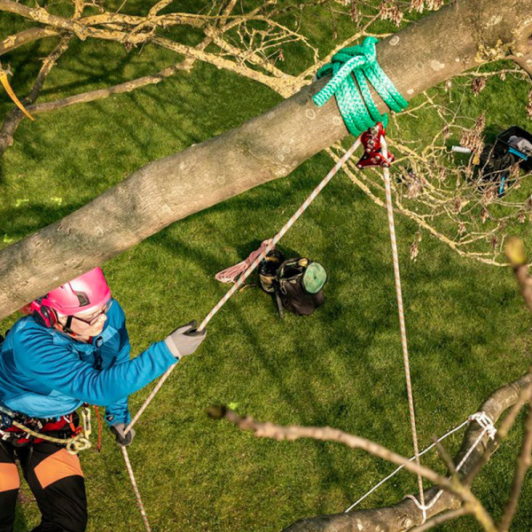 RIGGING Rope Wrench para elevación y apeo de ramas medianas